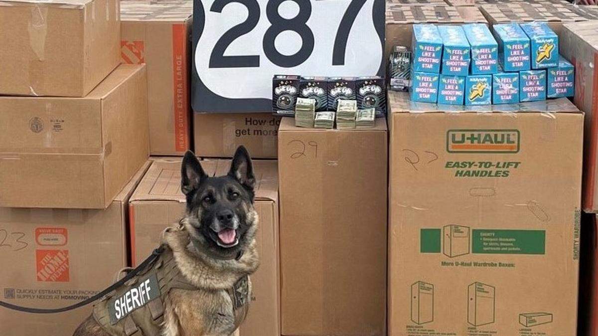 The Wise County Sheriff’s Office recently confiscated more than 1,000 pounds of marijuana and other drugs worth an estimated $1.7 million during a traffic stop, according to Sheriff Lane Akin.
