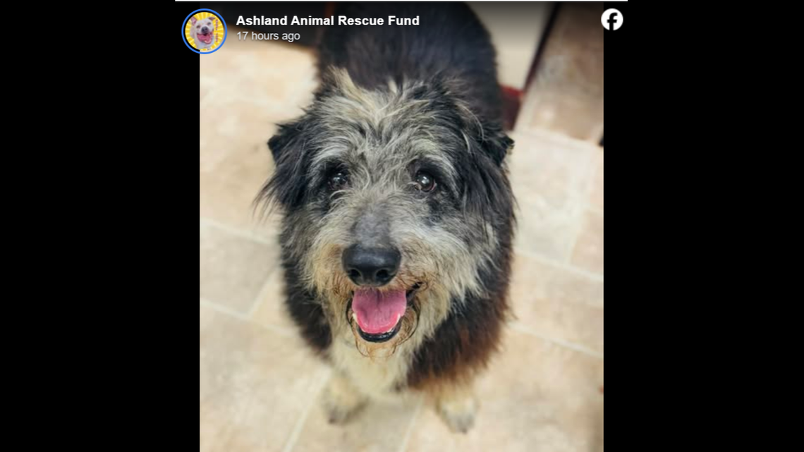 Eeyore is all smiles.