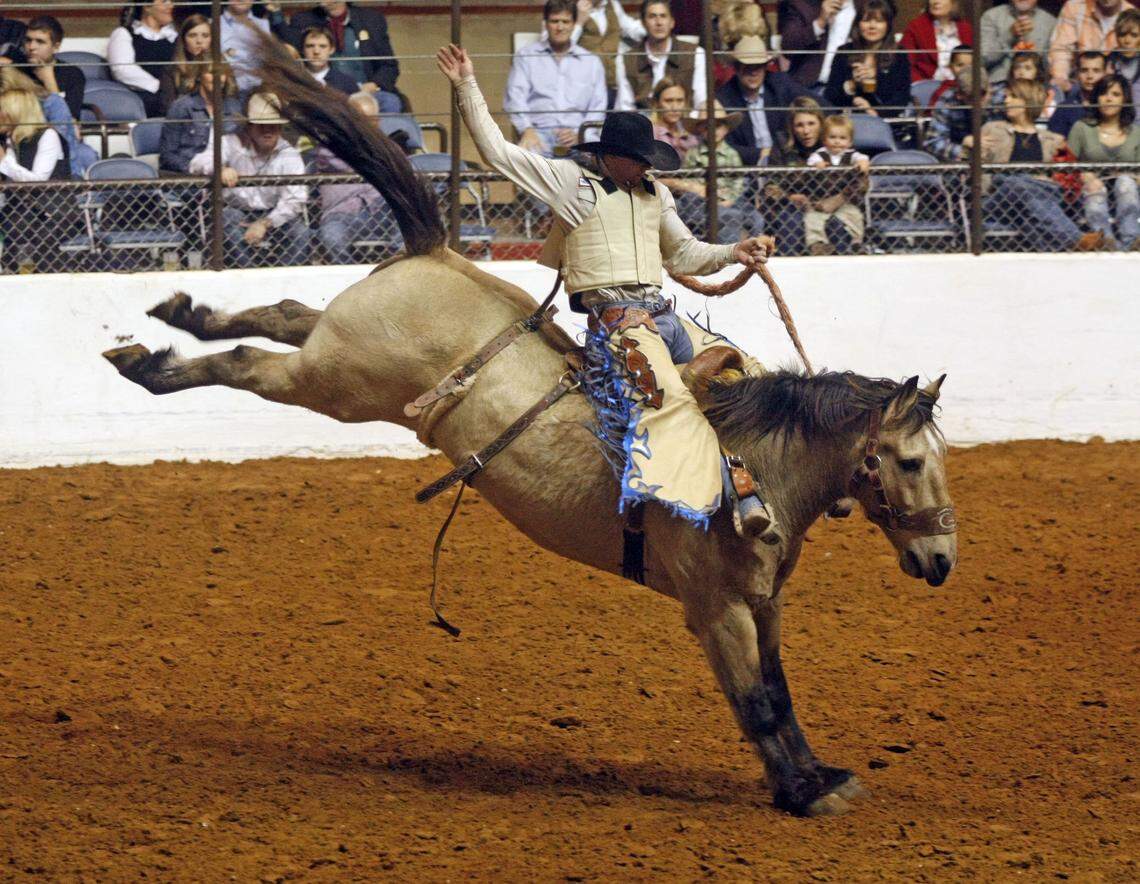 In this file photo, Taos Muncy competes in saddle bronc riding in February 2009 at the Fort Worth Stock Show Rodeo. Muncy is one of four people in history to win a national college and PRCA titles in the same year. He accomplished the feat in 2007 at Oklahoma Panhandle State.