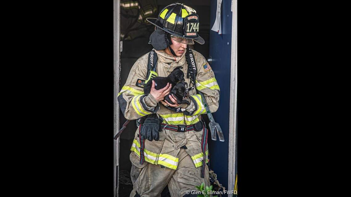 3 puppies reunited with owner after west Fort Worth apartment fire