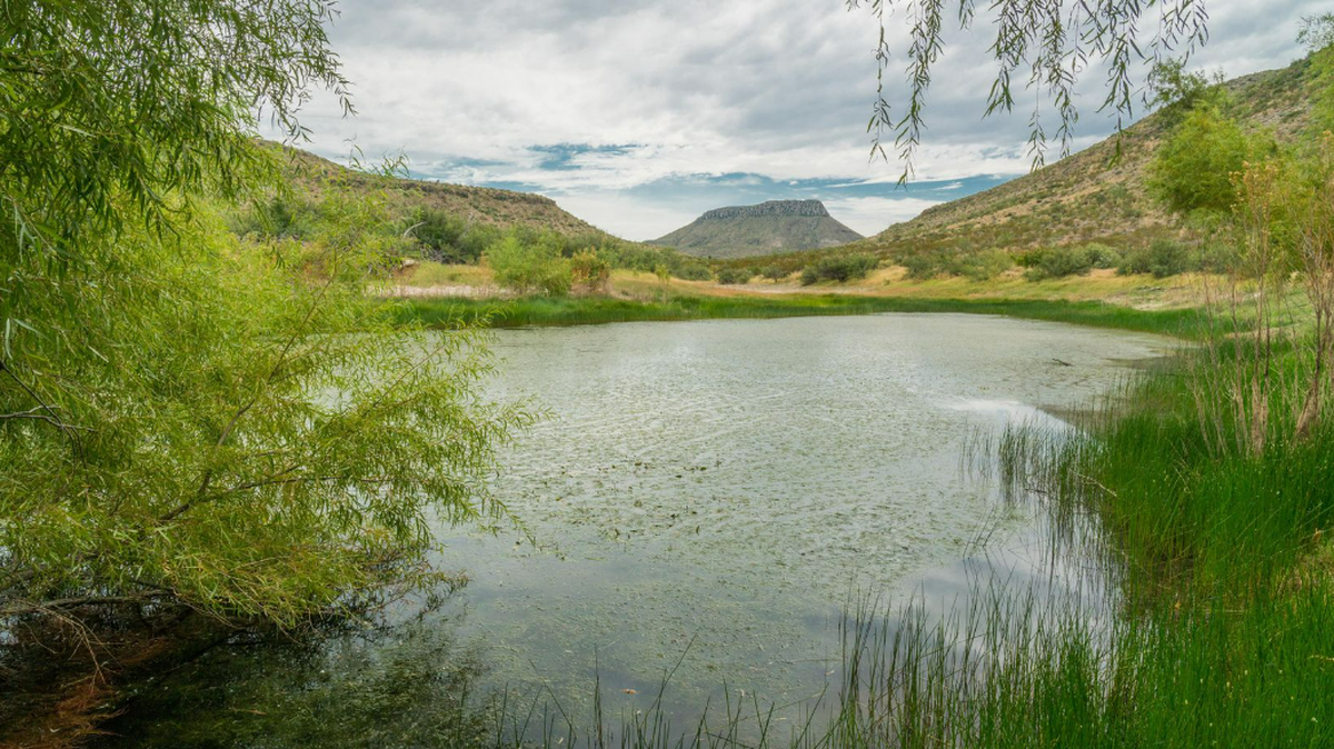 Brewster Ranch