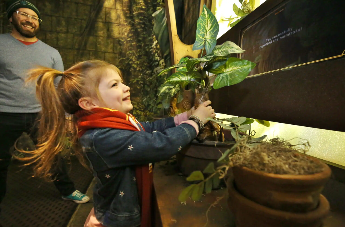Starting Oct. 24, Harry Potter fans can experience moments from the famous books and movies at “Harry Potter: the Exhibit” in Dallas.