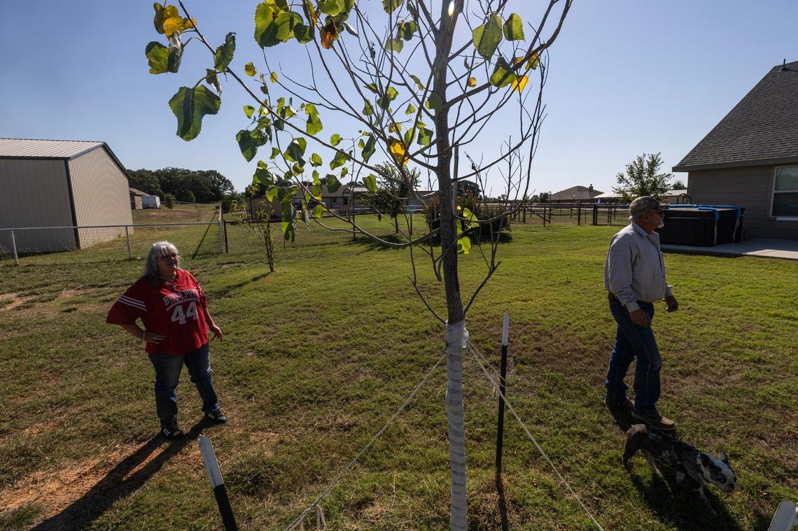 Jana, left, and Kendell McGuire inspect one of their trees not growing well in the backyard of their home in Paradise on Oct. 3. The couple is only home two weeks out of every month due to the nature of their jobs and said they have taken every measure possible to conserve water, but their bills remain well over $500 a month.