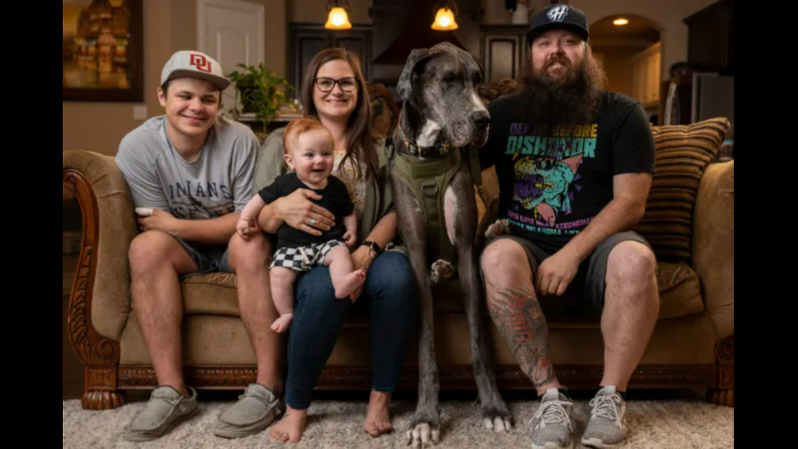 Zeus doesn’t quite fit on the couch.