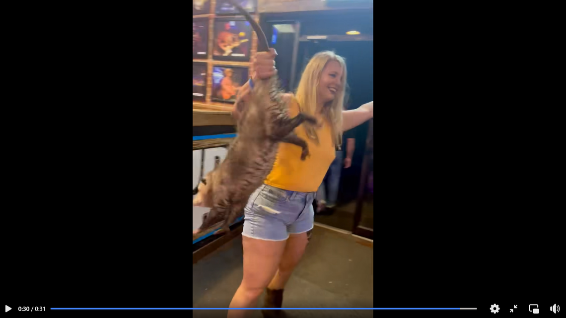 Jessica White removes a possum from a Texas bar by its tail.