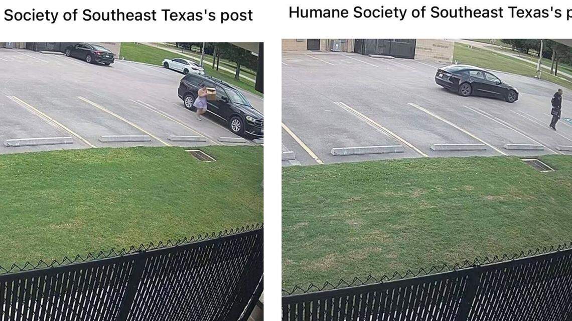 Surveillance footage of both individuals.