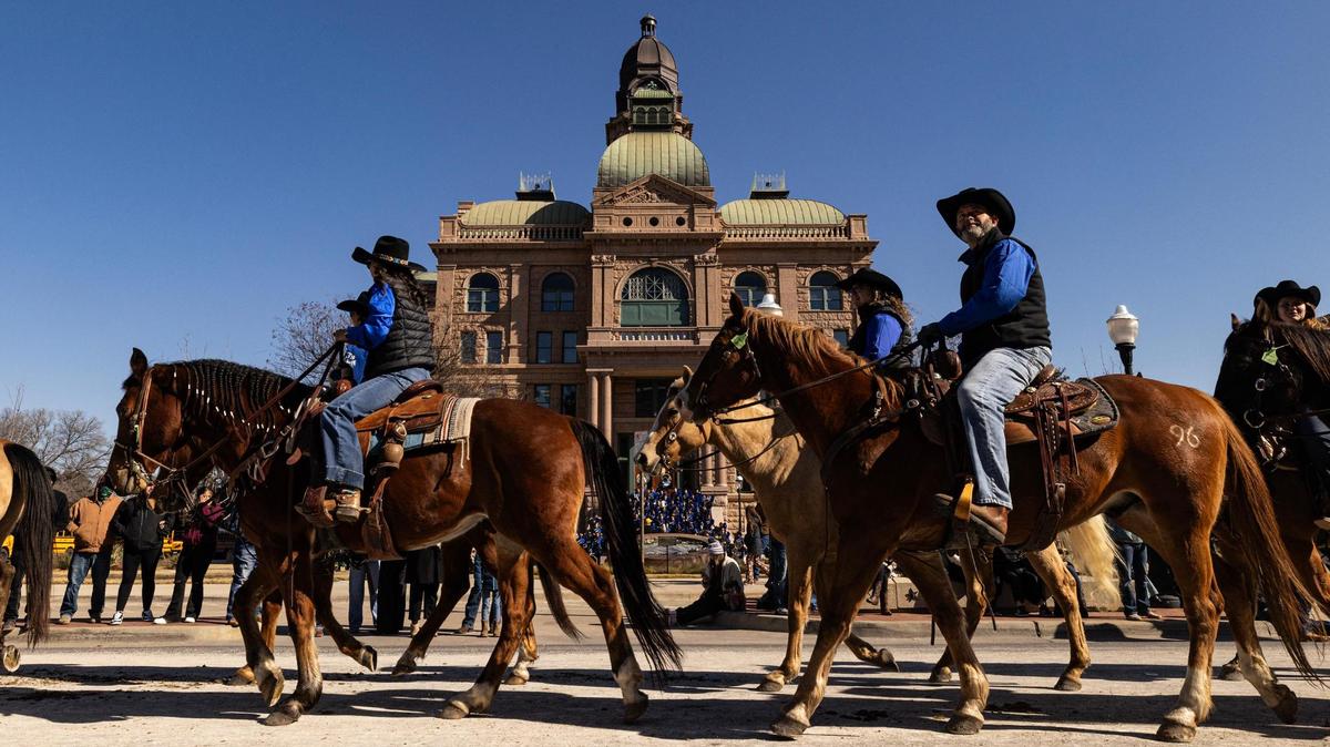 Deadly horse outbreak kills two horses in Texas after rodeo events in Waco and Stephenville.