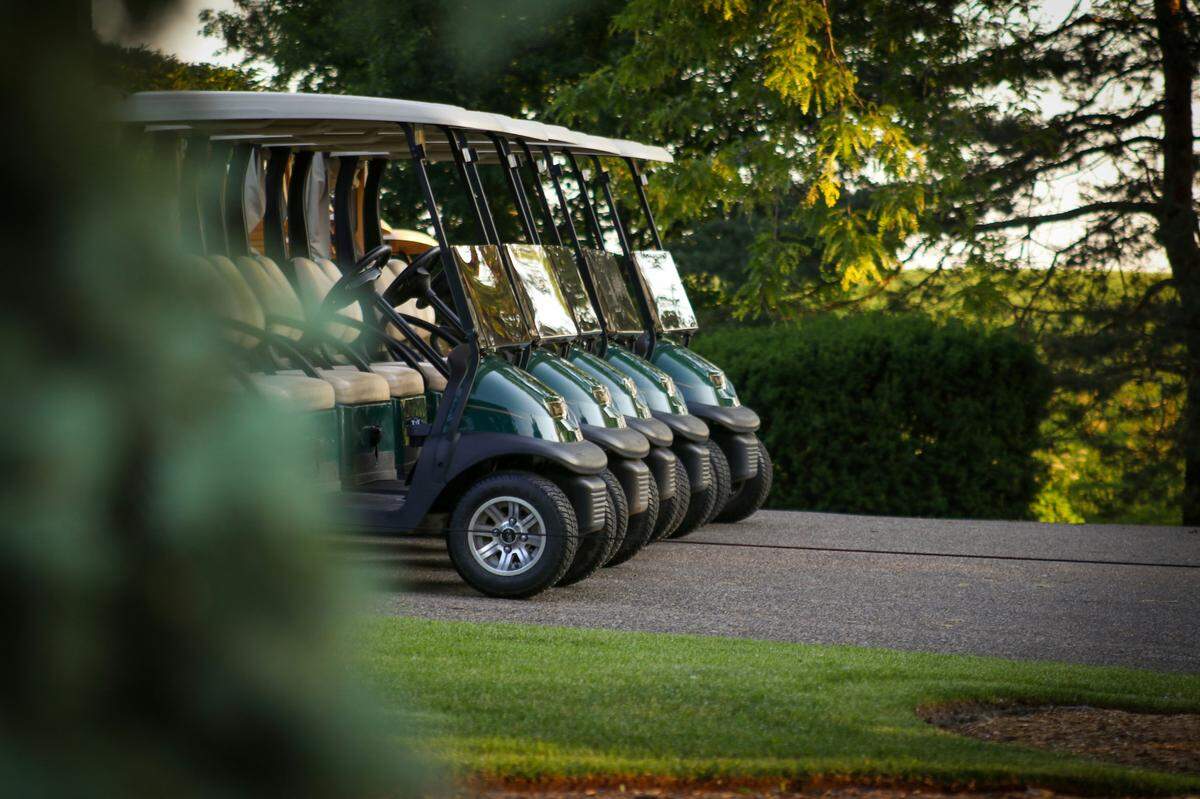 A row of golf carts