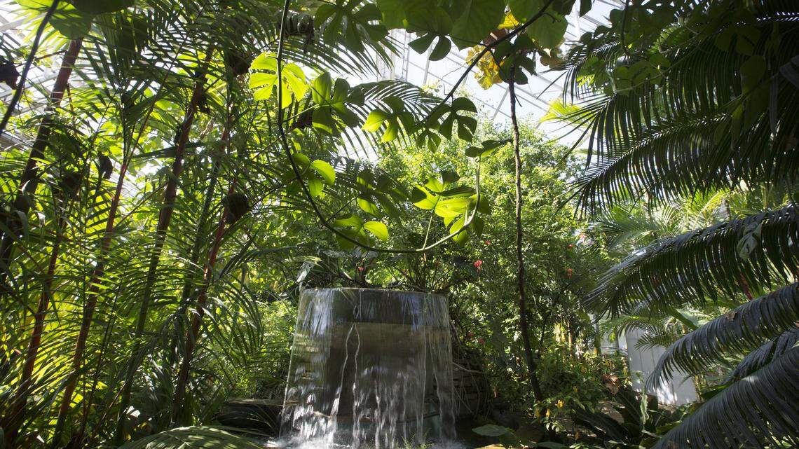 Fort Worth is considering charging an admission to the Botanic Garden.