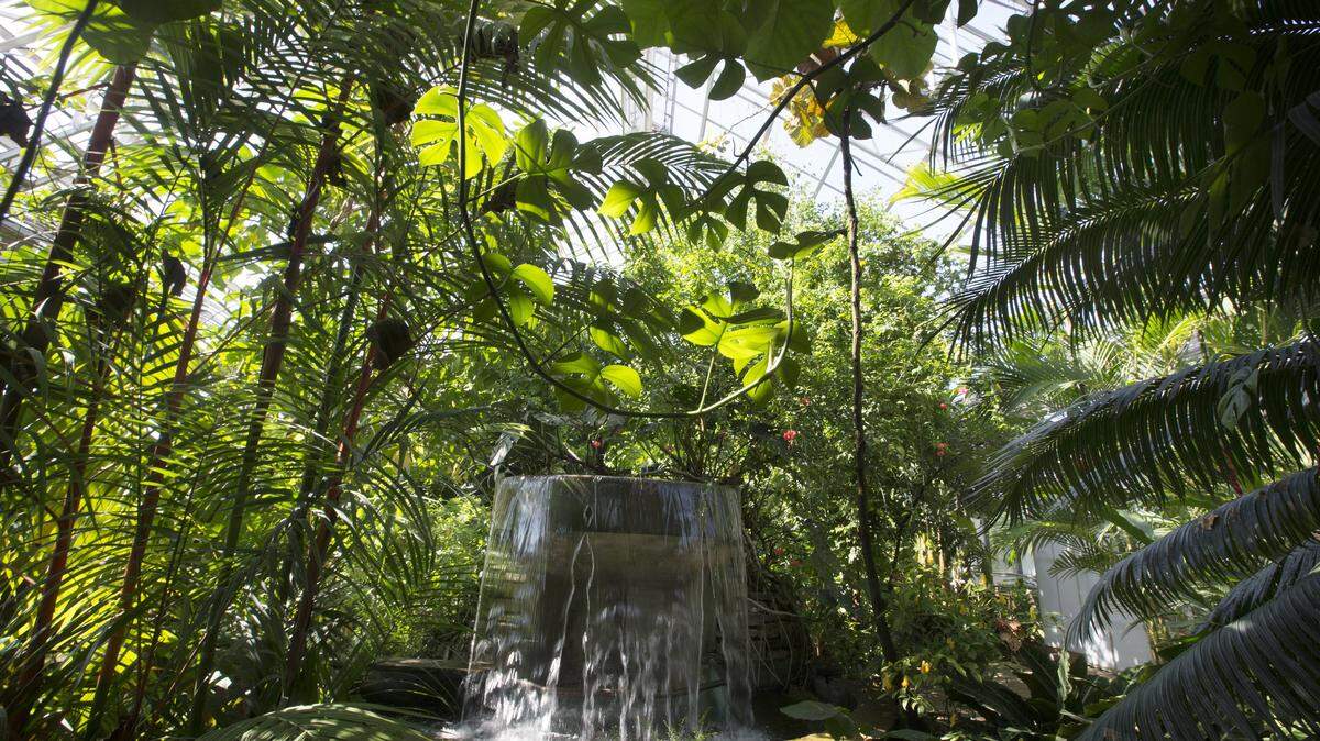 Fort Worth is considering charging an admission to the Botanic Garden.