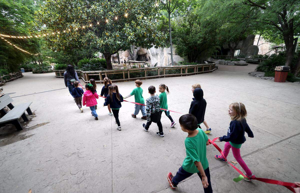 Zoo School Nature's Navigators take a hike through the Fort Worth Zoo before it opens to the public on Thursday, April 30, 2026. The children made stops at different location, ending at the Texas Nature Traders.