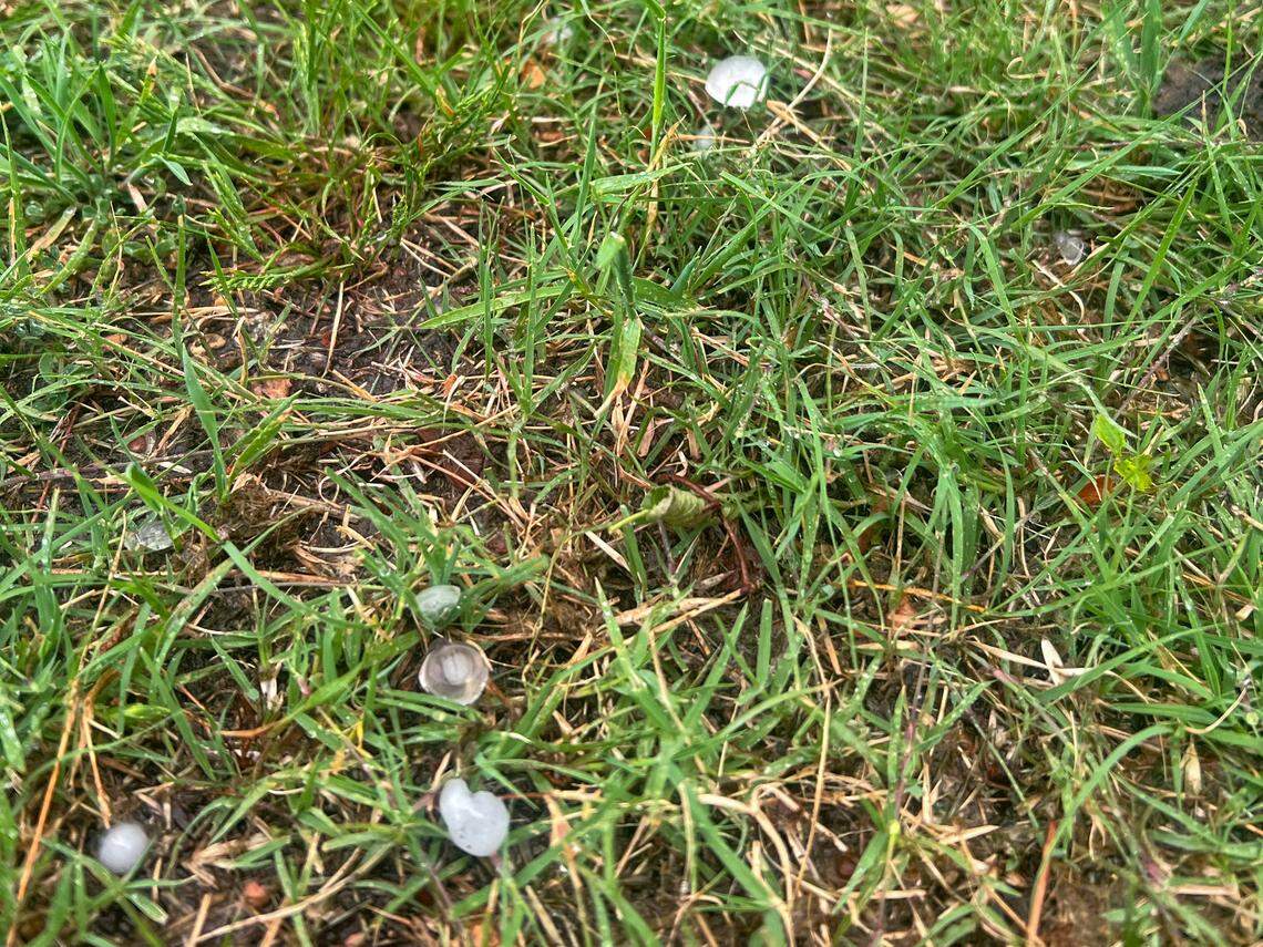 Hail is scattered on the ground of an Arlington Heights neighborhood during a storm in Fort Worth on Thursday, April 20, 2023.