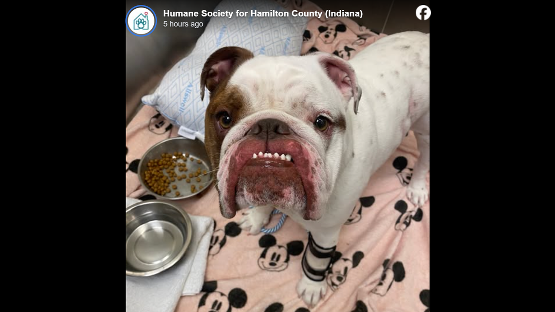 Cooper needs all the help he can get.