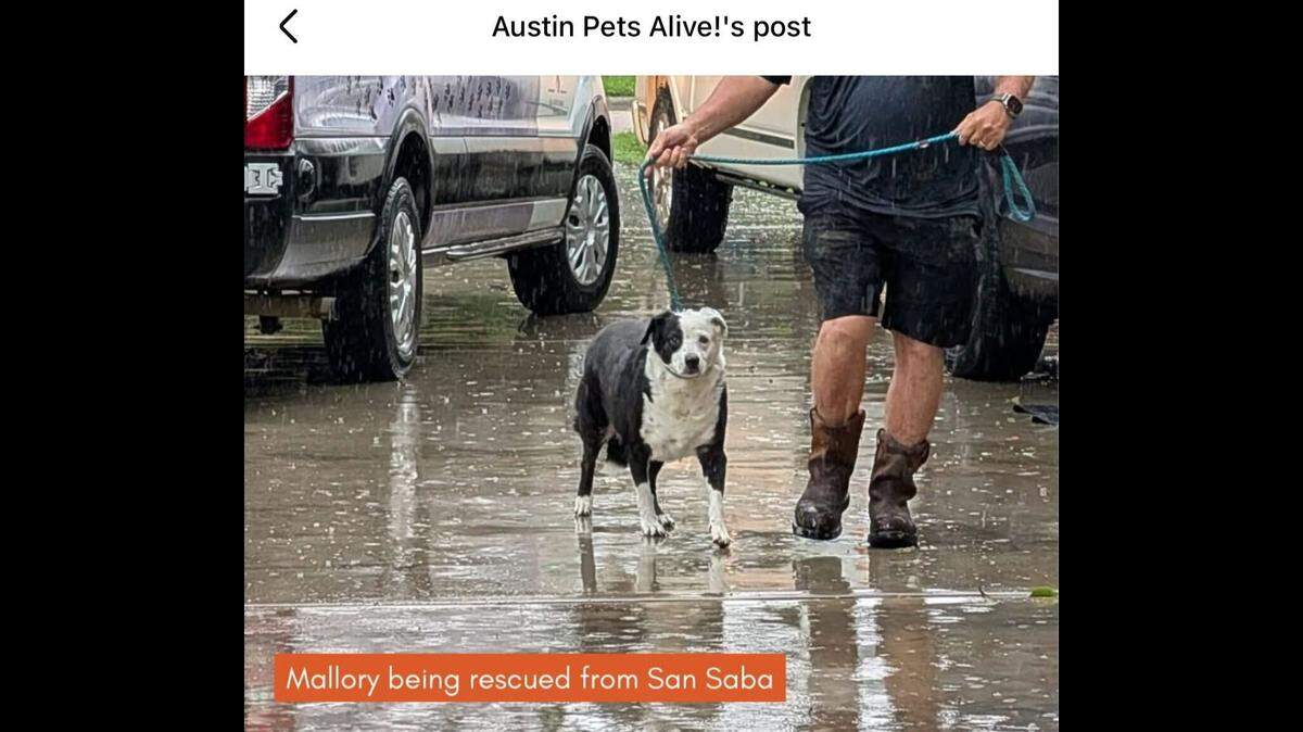 Mallory being rescued