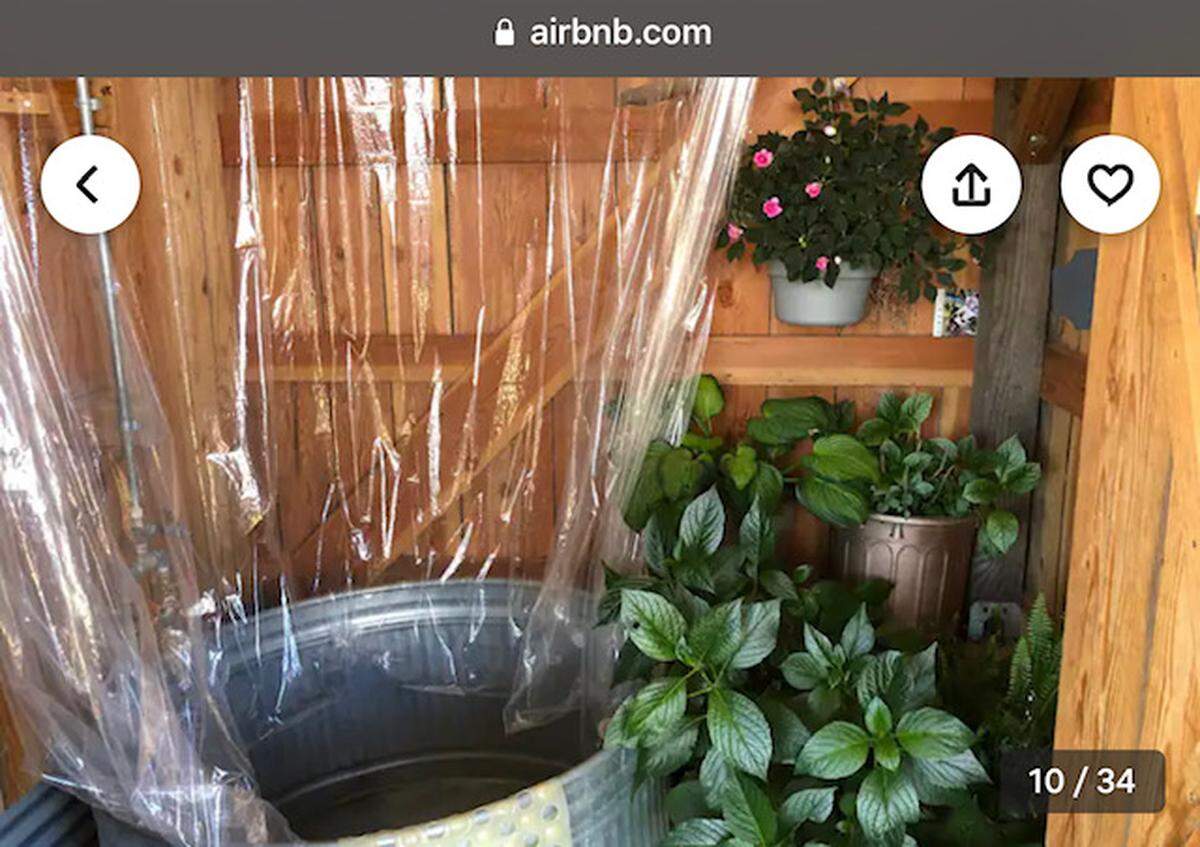 Plants