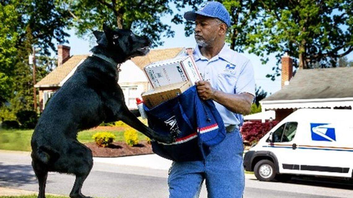 Texas had the second highest number of dog attacks on USPS carriers in 2023.