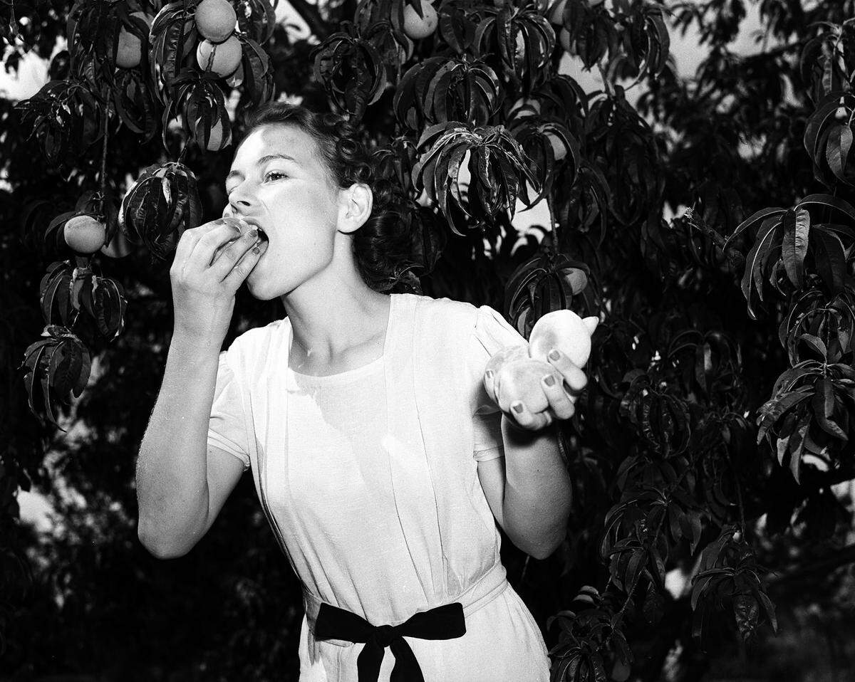June 23, 1939: Helen Hall, daughter of Mr. and Mrs. A.L. Hall of Grapevine, enjoys a bite from a peach, one of the biggest and most irregular of small money crops in Tarrant and surrounding counties of North Texas