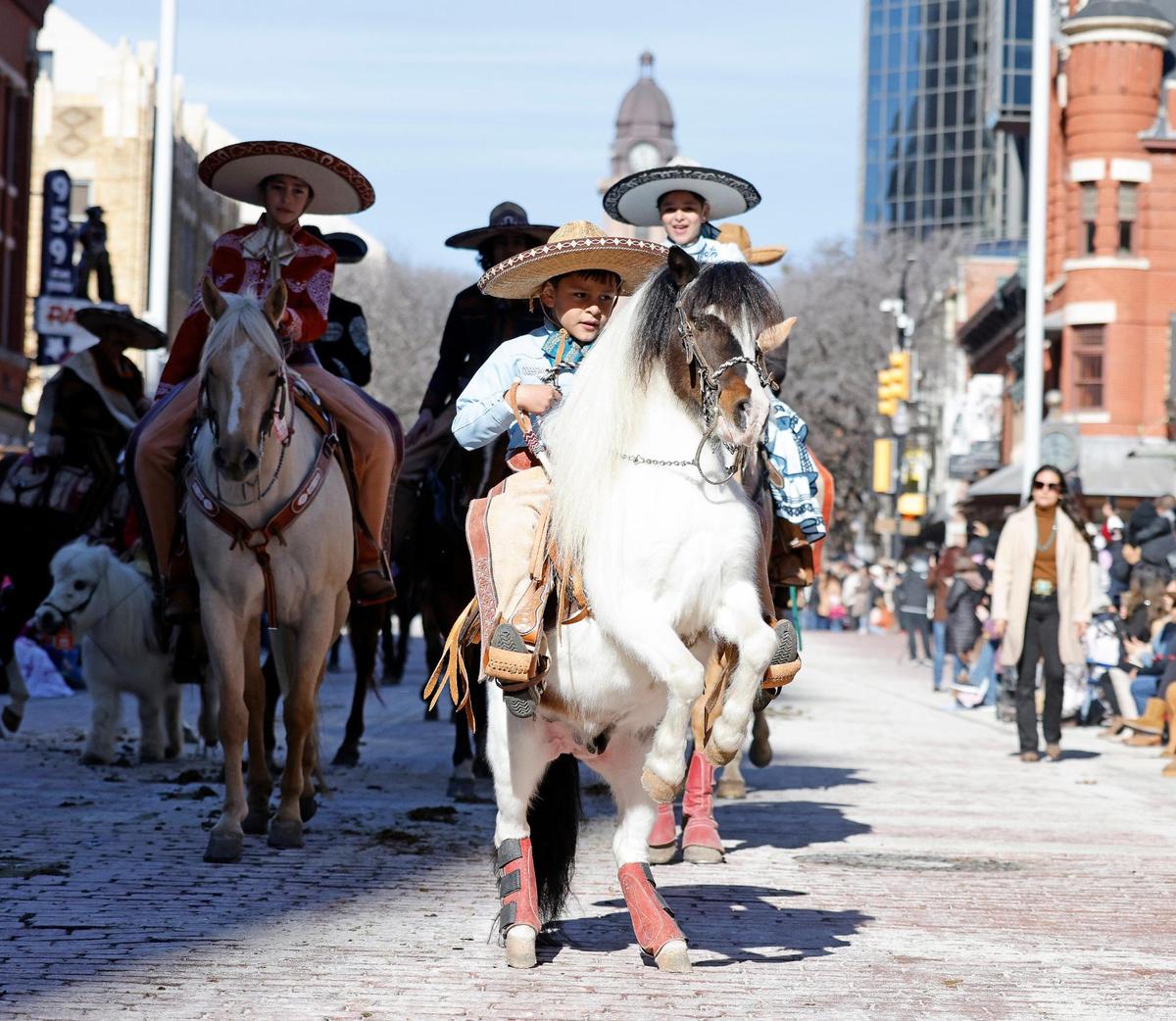  A rider shows off his ponies tricks during the Fort Worth Stock Show and Rodeo parade.