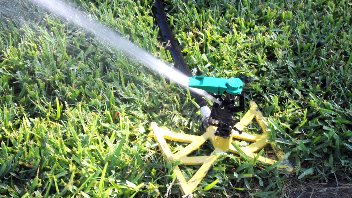 Watering tips to get your North Texas landscape through the summer heat