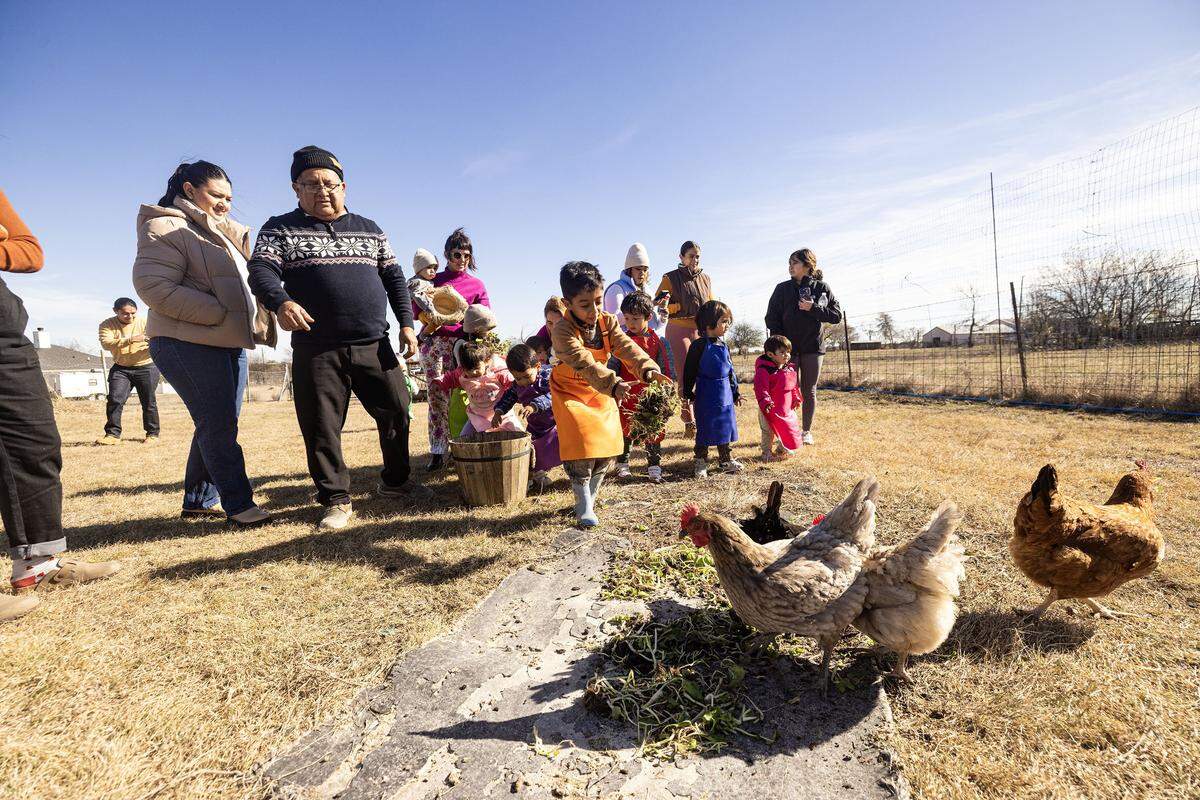 Students feed the chickens during class at the Curious Farm House in Godley on Wednesday, Dec. 10, 2025. The Curious Farmhouse is a nature-based, bilingual space where children learn farming, nutrition and hands-on skills through gardening.