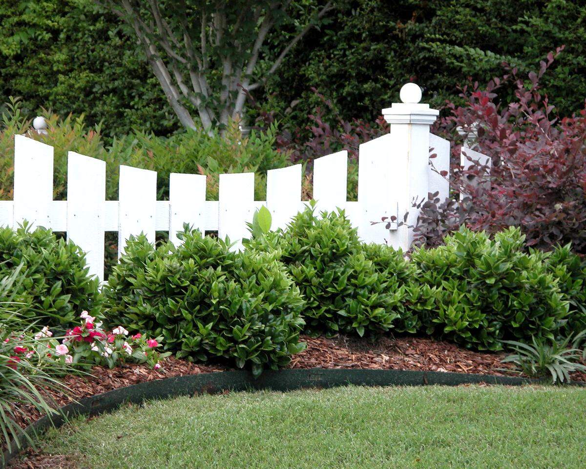 Curved bed looks natural. This one is backed by shrubs for privacy.