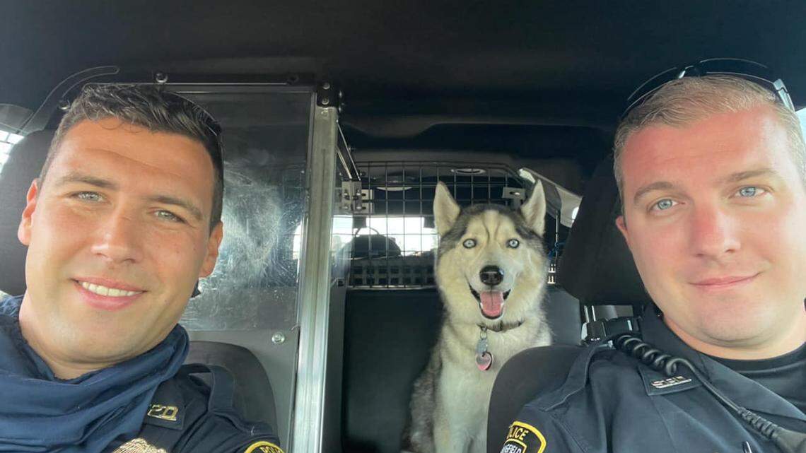 The Springfield Police Department stepped in to help Zeke who was trapped in a hot car after his owner was killed.