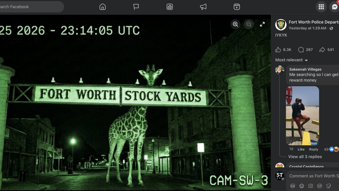 A giraffe went missing in Texas and had everyone joking. Here’s why