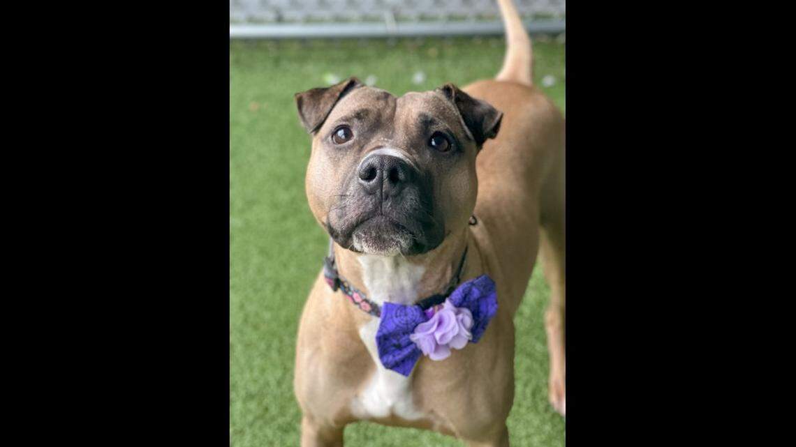 Piper’s sweet face.