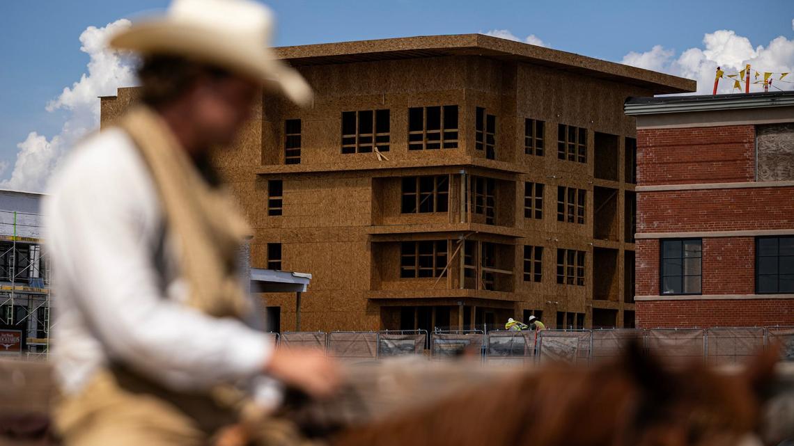 Drover Michael Ciccolella guides the cattle out of the pens passing by the new apartment development being built behind Packers Street at the Fort Worth Stockyards on Aug. 15.