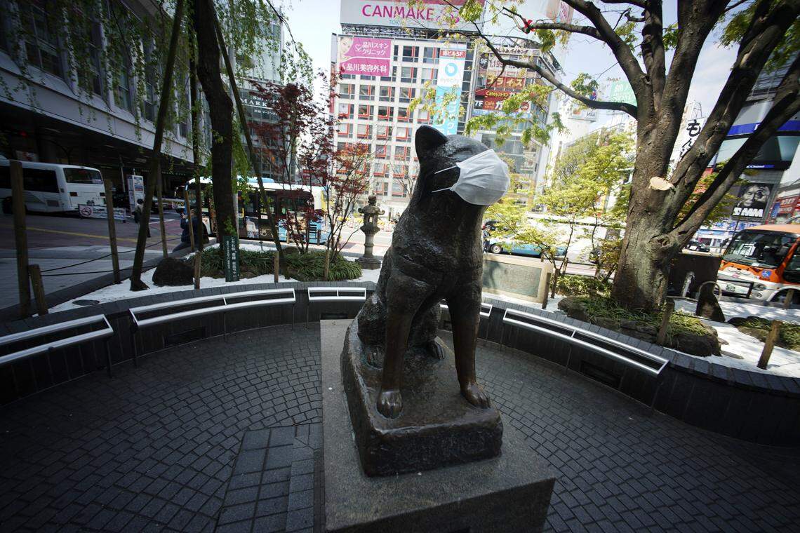 A statue of a Japanese Akita dog named “Hachiko” wearing a face mask is seen near Shibuya Station Wednesday, April 8, 2020, in Tokyo.