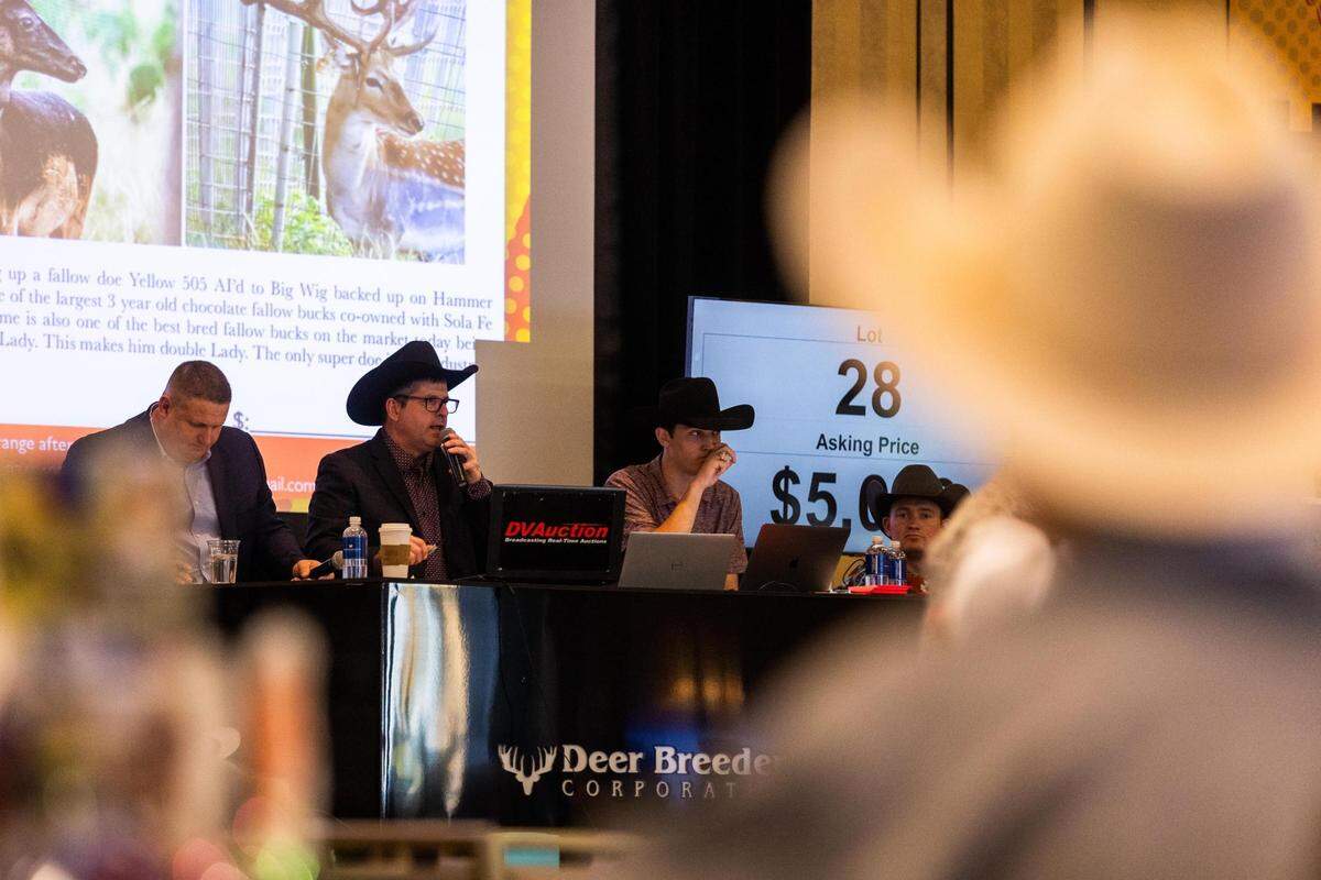 Auctioneer Steve Chupp calls out lots during the Deer Breeding Corp.’s January 2022 auction at Horseshoe Bay Resort.