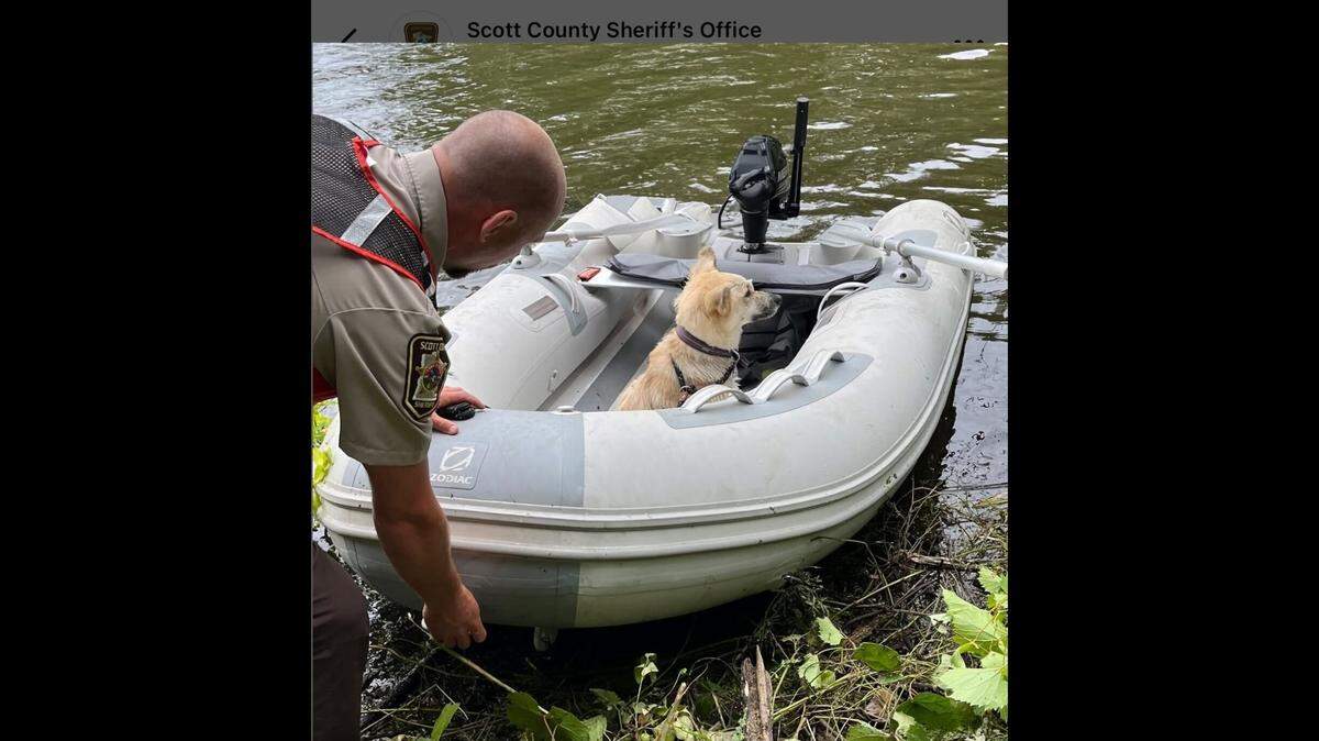 Rescued pup