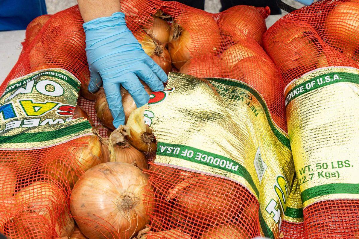 Onions are sorted into individual bags for families during the 4th annual Thanksgiving Mobile food distribution at AT&T Stadium in Arlington on Friday, November 17, 2023.