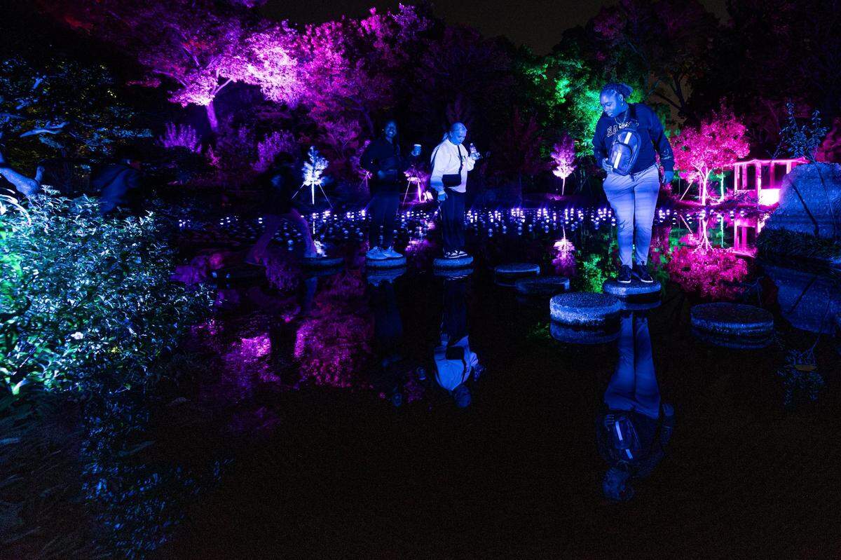Guest walk through the ‘Poleen’ display during the Lightscape 2023 event at the Fort Worth Botanic Gardens on Friday, Nov. 24, 2023.