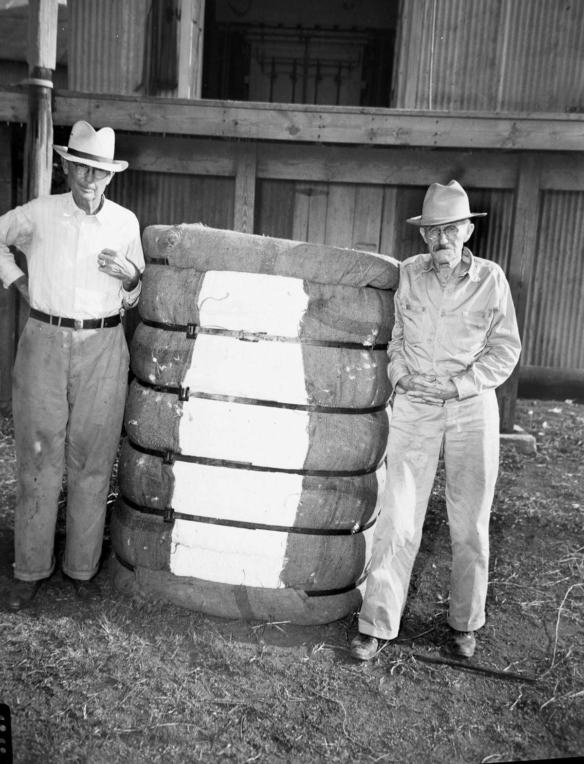 Aug. 19, 1942: Tarrant County’s first bale of cotton. C. G. Emmons, left, Keller gin operator, and J.W. Finney.