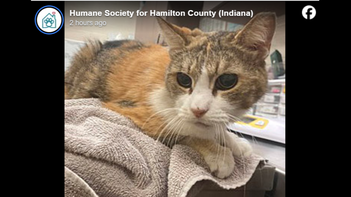 Margaret needs a special place where she feels safe.