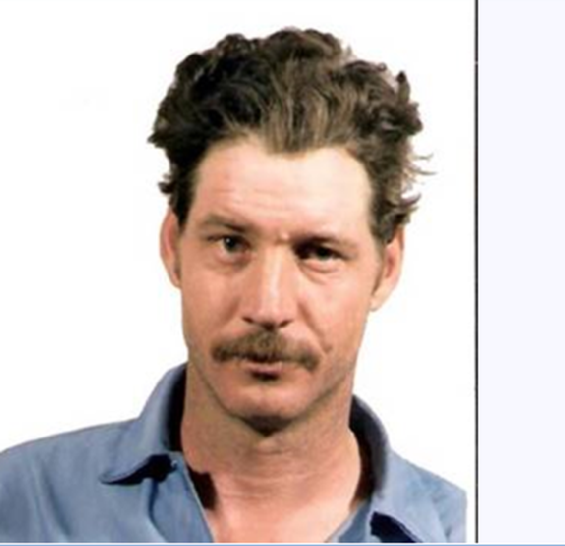 James Francis McNichols was identified as the man who raped and murdered 11-year-old Julie Fuller in 1983, according to Fort Worth police. McNichols died in 2004.