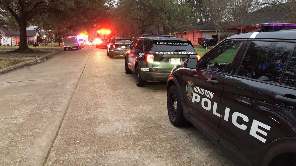 Police in Houston say a man was mauled to death by his neighbor’s dogs.