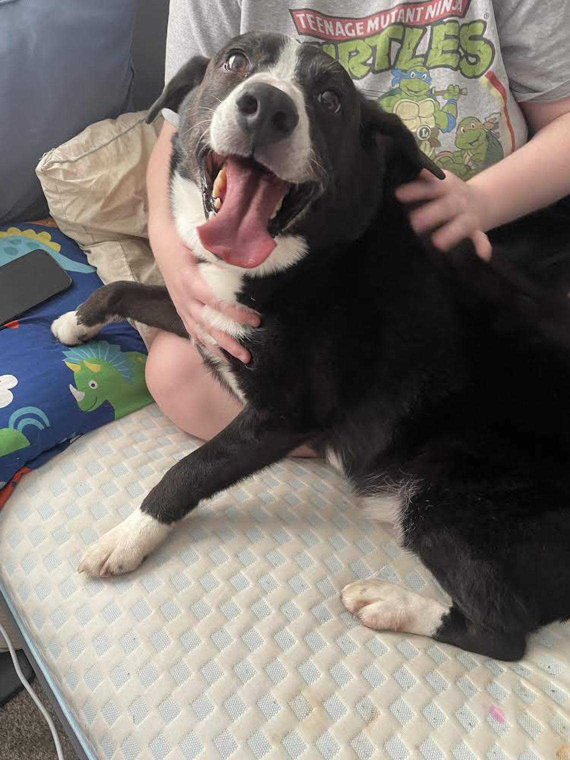 Max, beaming with his new family