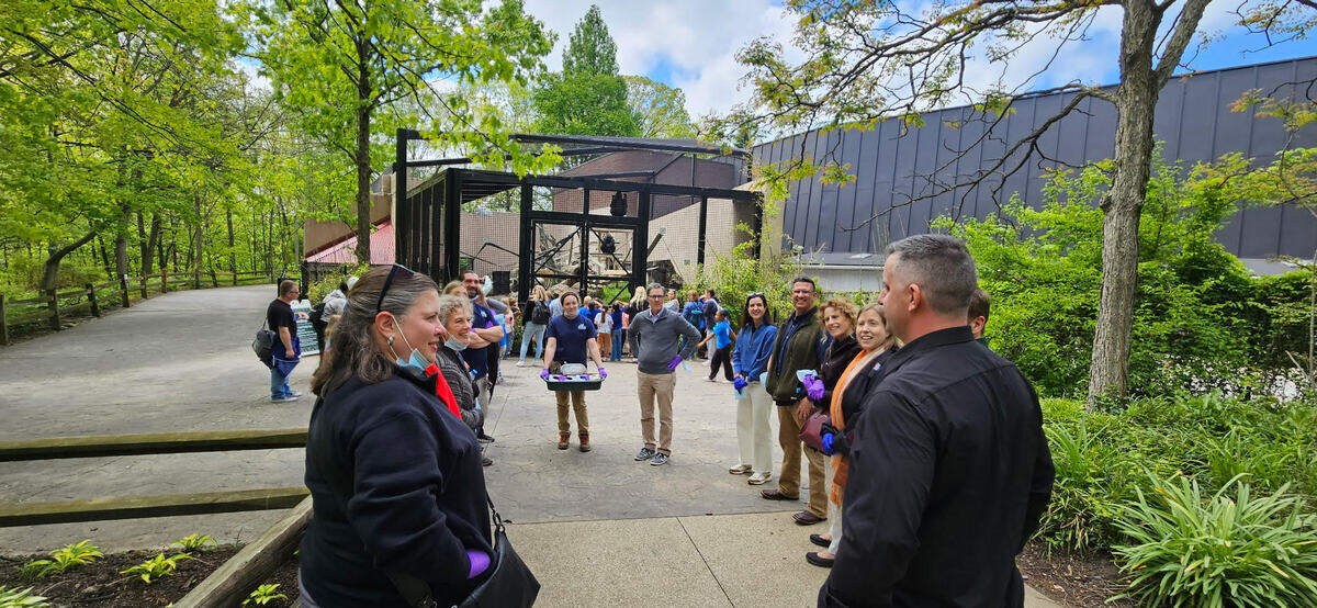 The Fort Worth Zoo staff and medical professionals who cared for Jameela, a western lowland gorilla born by Cesarean section, paid a surprise visit to the now 2-year-old primate at the Cleveland Metroparks Zoo on May 13.