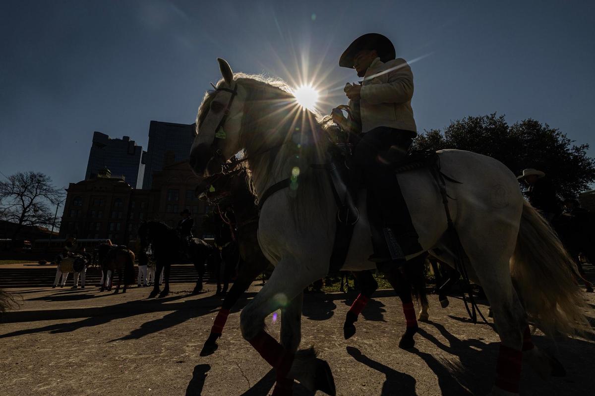 A member of Rancho El Cortijo rides his horse past the Tarrant County Courthouse after riding in the Fort Worth Stock Show All Western Parade in downtown Fort Worth on Saturday, Jan. 18, 2025.