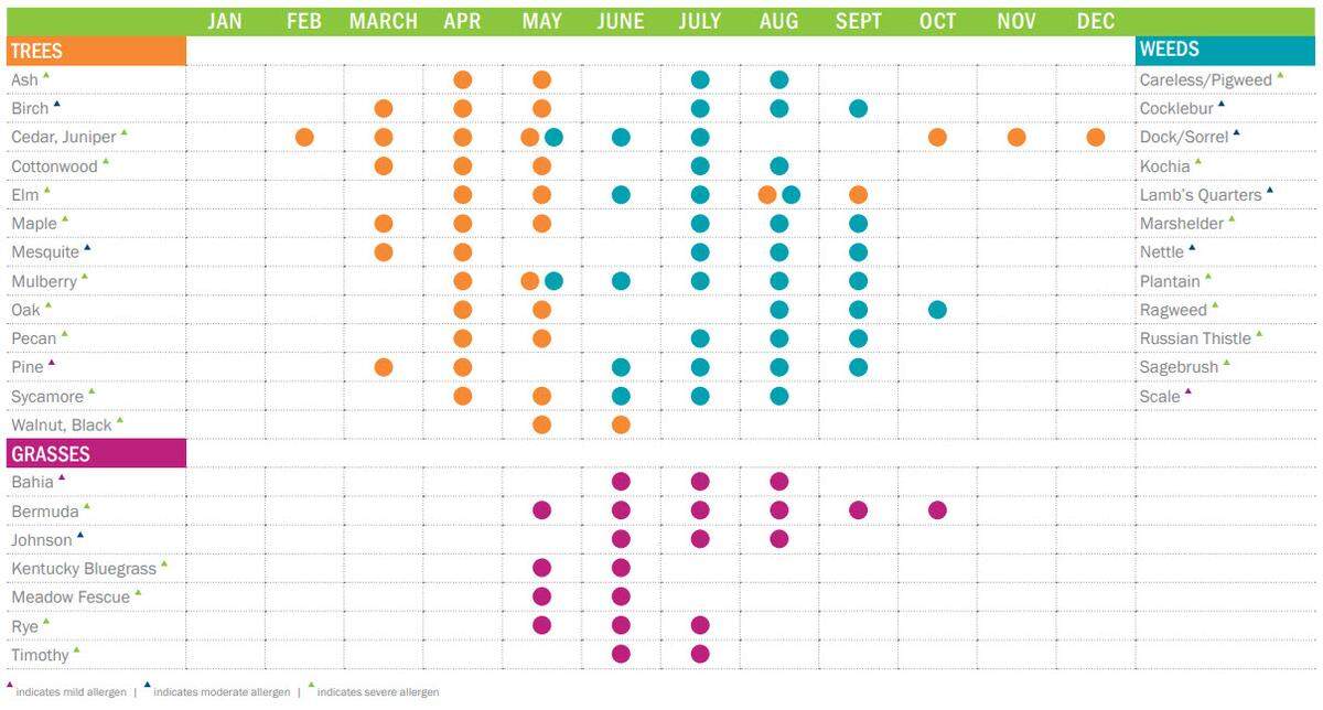 Seasonal Allergens of the South Central U.S.