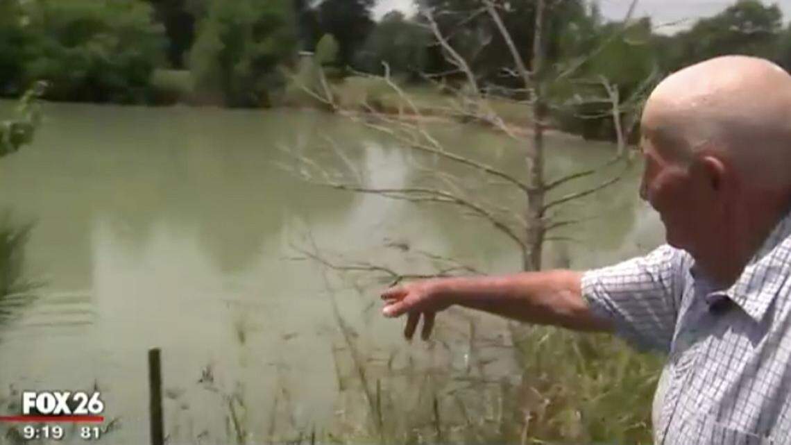 Thomas Mizell, 81, points to the pond he jumped in to escape a swarm of bees.