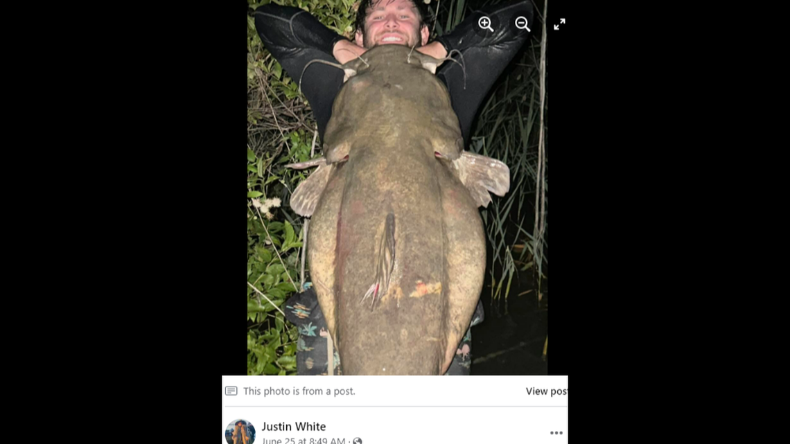 Two Texas fishermen caught a massive catfish using their bare hands, photos show.