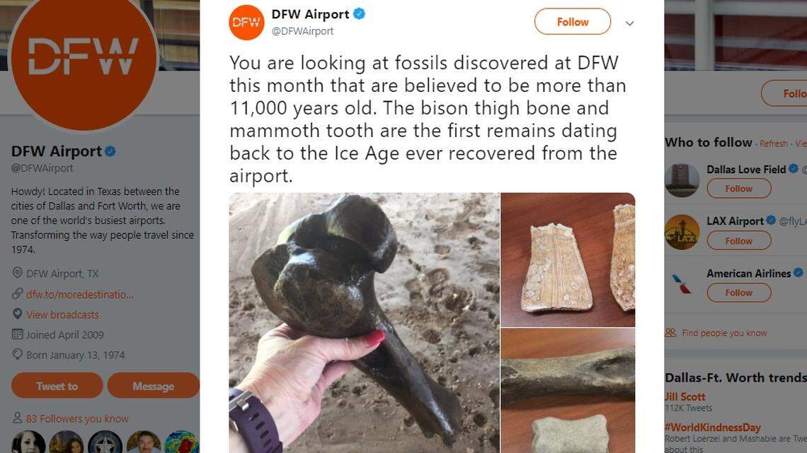 Fossils that are thousands of years old were found at the Dallas/Fort Worth Airport earlier this month.