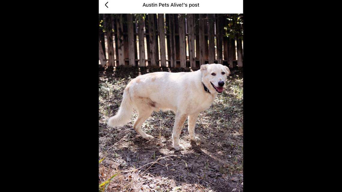 It’s time sweet Kanga had a home of his own