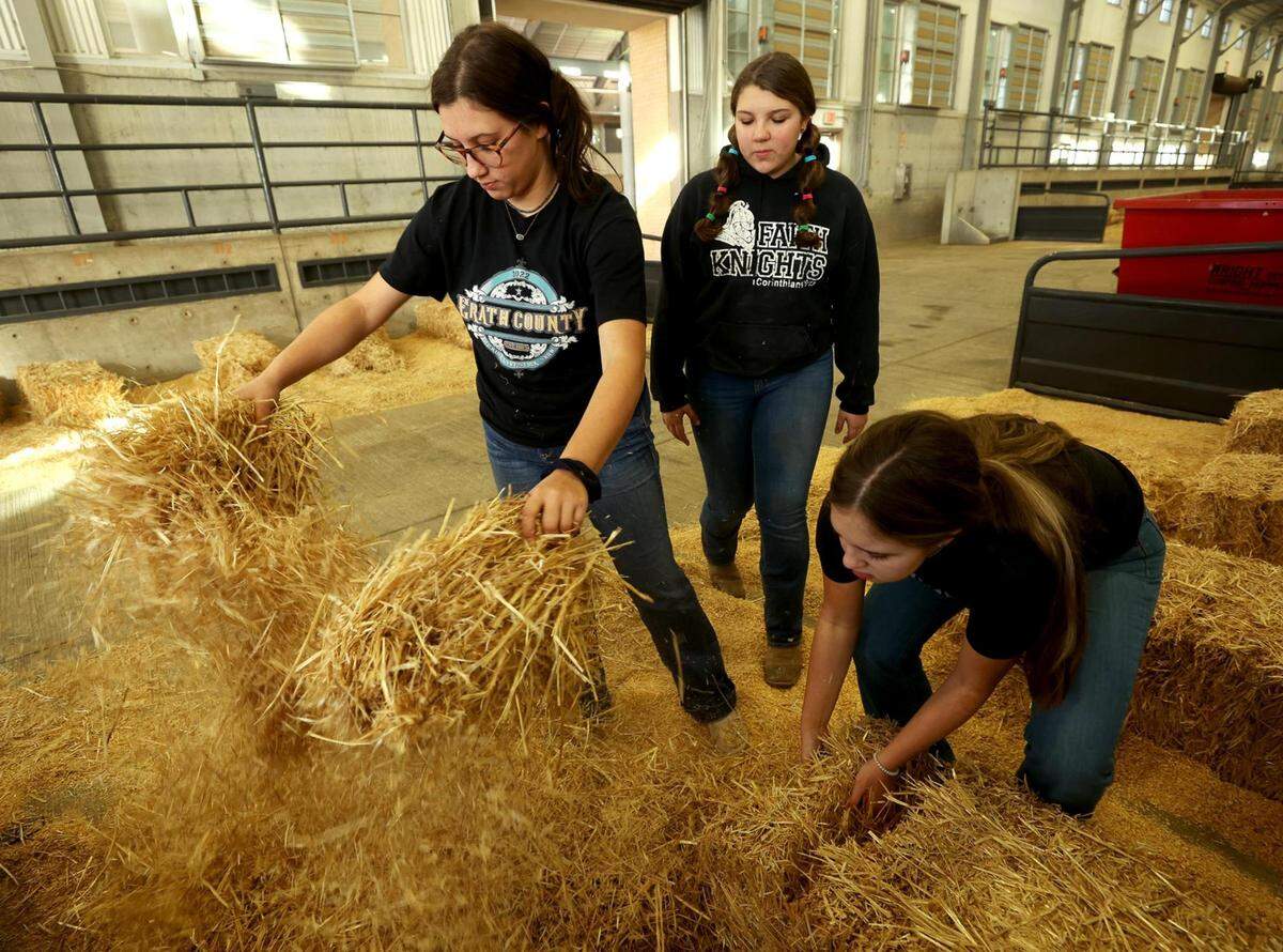 Ally Reed, 17, left, Bella Olson, 12, center, and Kylie Yarborough, 14, prepare a stall for their dairy cows after arriving at the Fort Worth Stock Show & Rodeo in 2021.