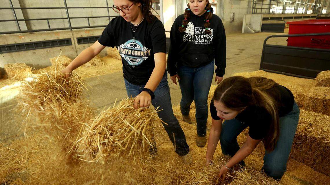 There’s plenty for kids to do at stock show, from milking a cow to watching a chick hatch