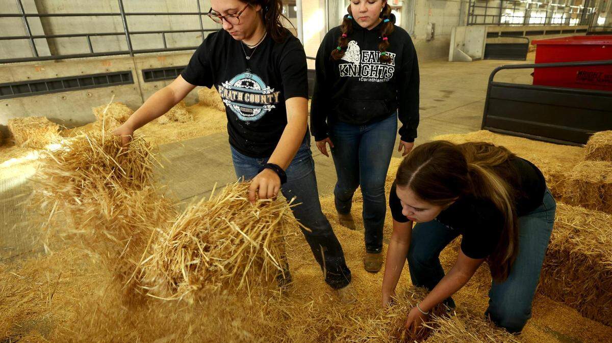 There’s plenty for kids to do at stock show, from milking a cow to watching a chick hatch