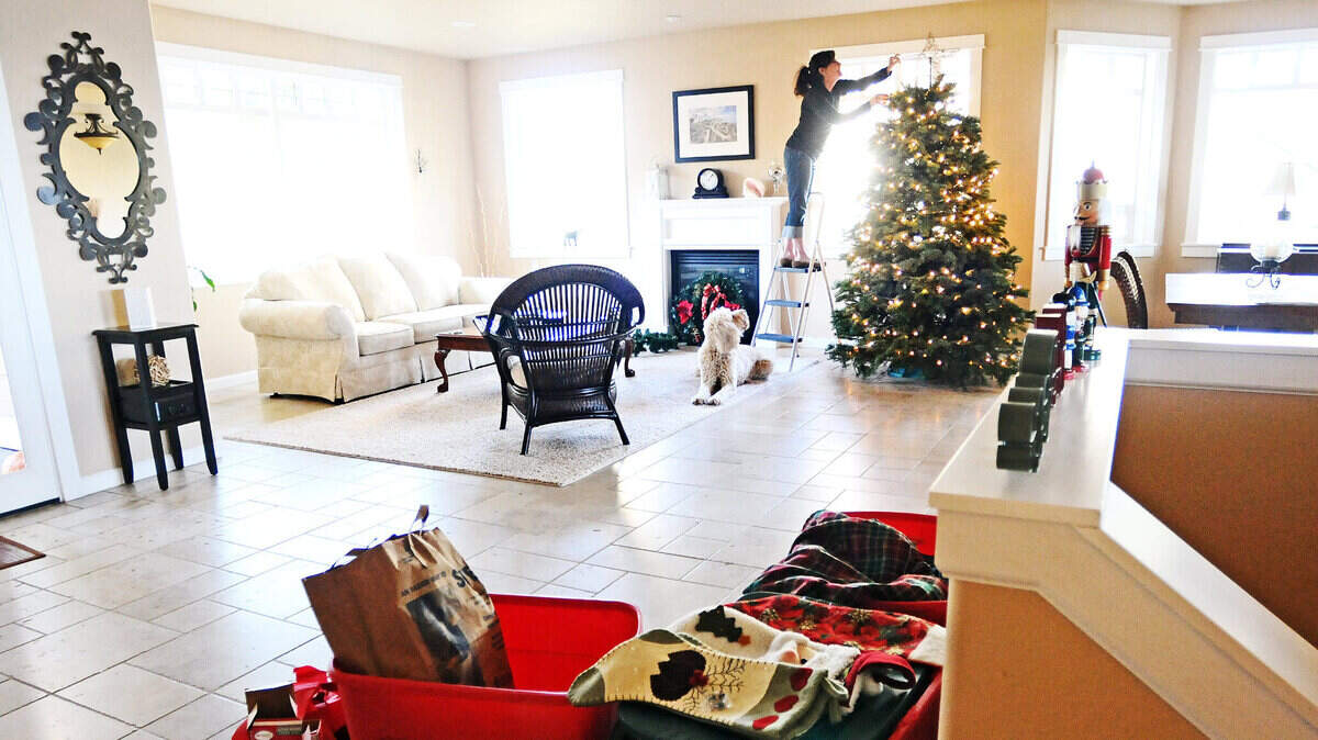 More Texans are buying real Christmas trees, wanting the experience of picking the perfect tree with family. Photo taken on Nov. 30, 2014.